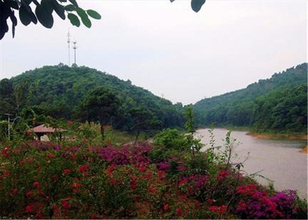 Phoenix Hotel Wuyi Цзянмынь Экстерьер фото